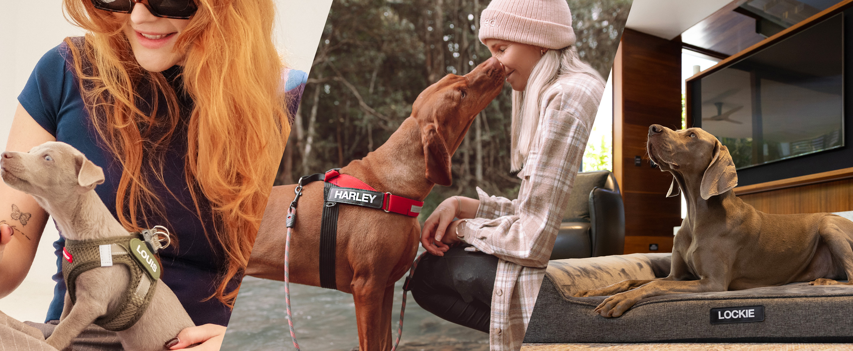 EZYDOG カスタムネームラベル