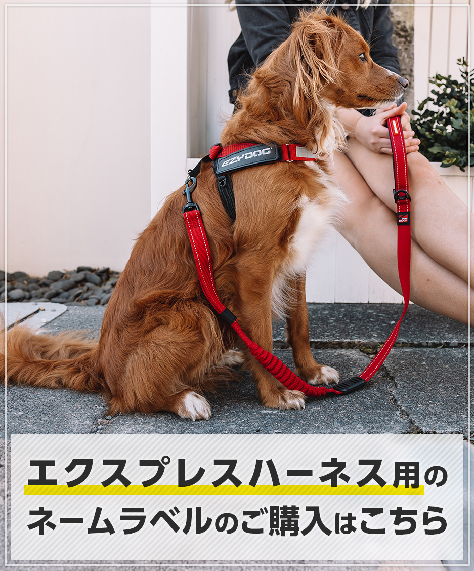 エクスプレスハーネス用のネームラベルのご購入はこちら